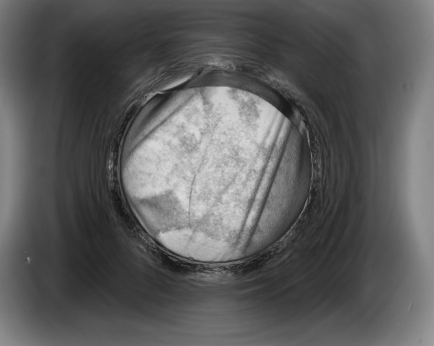 X0000083530696200703091512