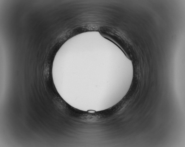 X0000083530697200703091512