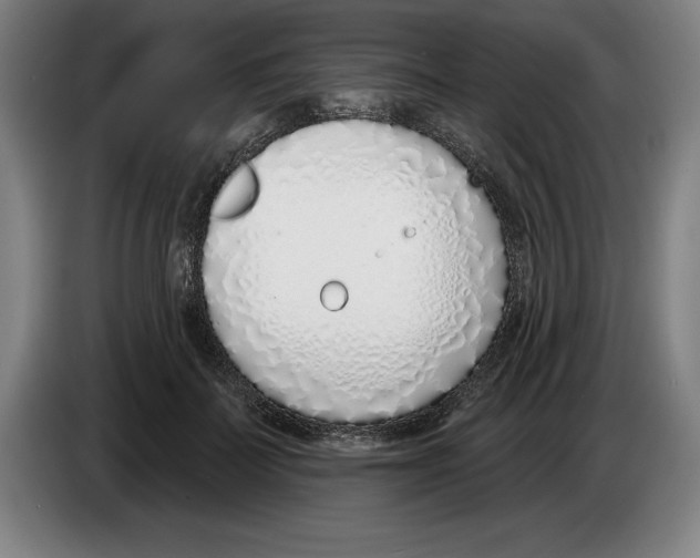 X0000083530699200703091512