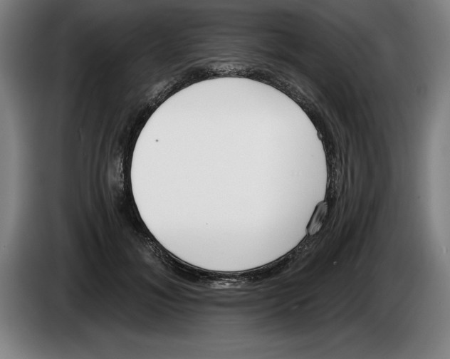 X0000083530700200703091512