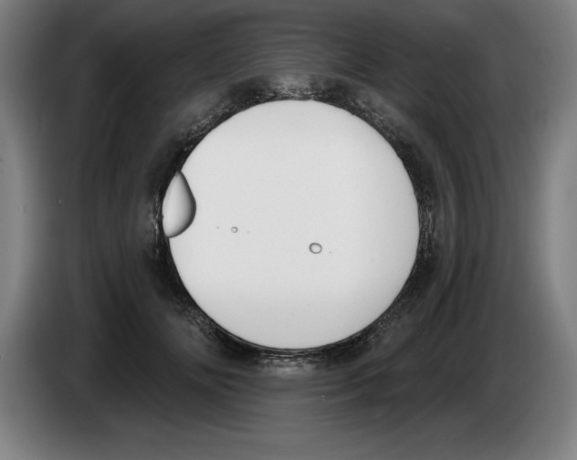 X0000083530702200703091512