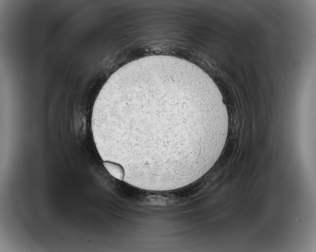 X0000083530703200703091512