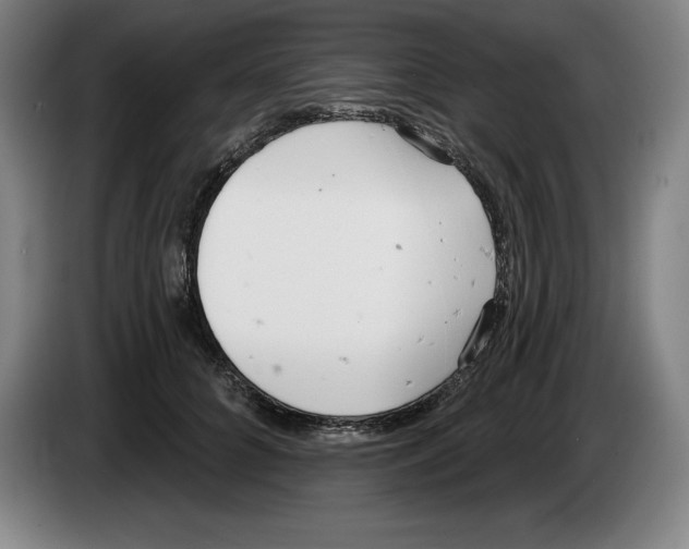 X0000083530704200703091512