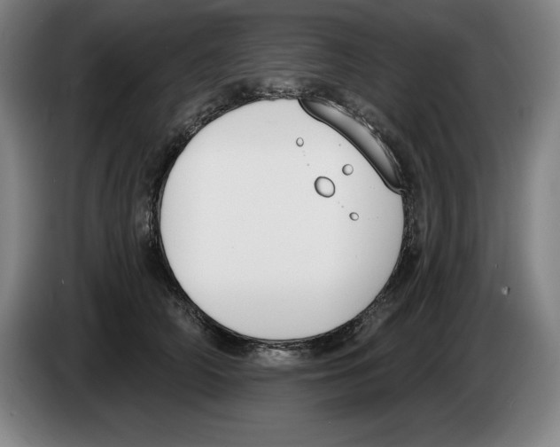 X0000083530706200703091512