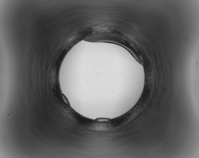 X0000083530708200703091512