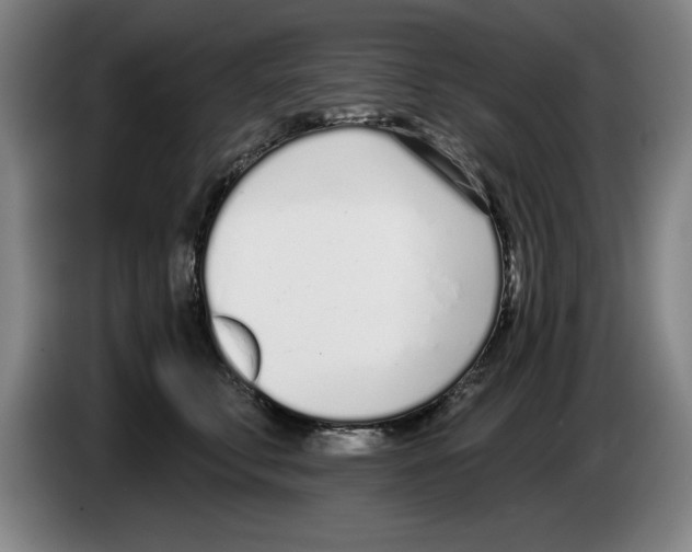 X0000083530711200703091512