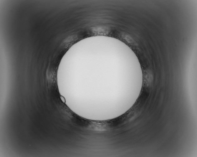 X0000083530713200703091512