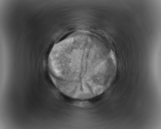 X0000083530716200703091512