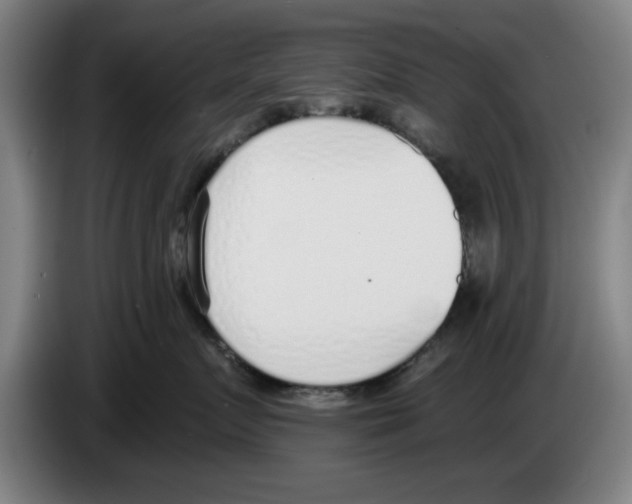 X0000083530719200703091512