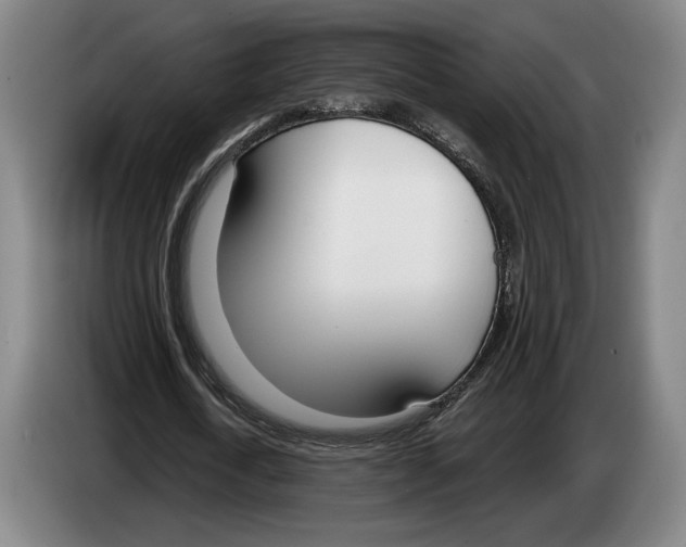 X0000083530722200703091511