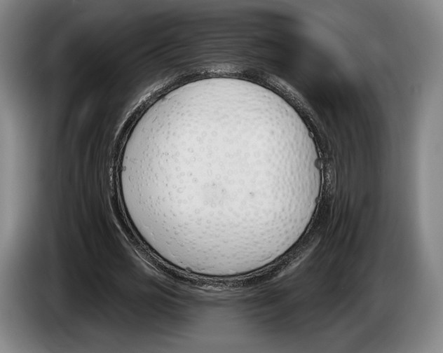 X0000083530725200703091511