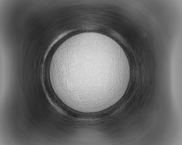 X0000083530726200703091511