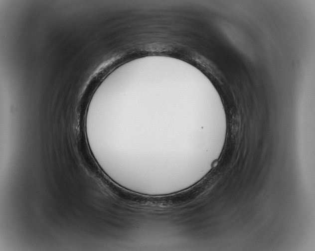 X0000083530727200703091511