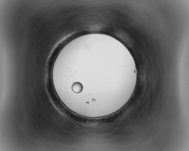 X0000083530728200703091511