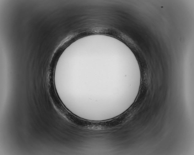 X0000083530730200703091511