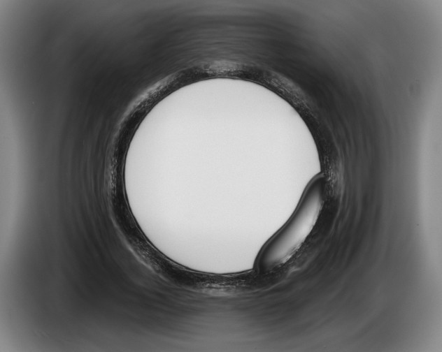 X0000083530732200703091511