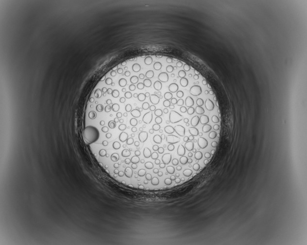 X0000083530734200703091511