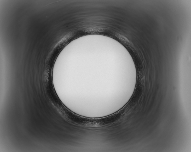 X0000083530735200703091511