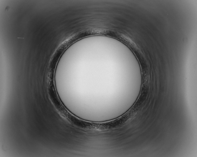 X0000083530736200703091511