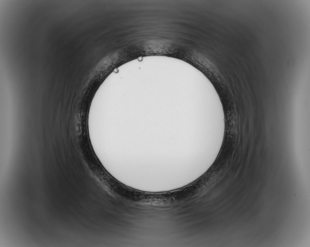 X0000083530738200703091511