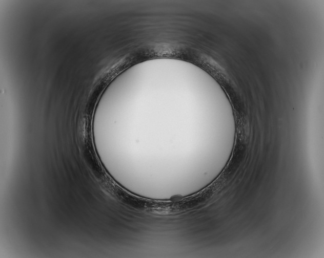 X0000083530740200703091511