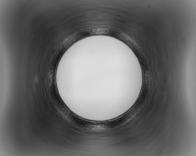 X0000083530741200703091511