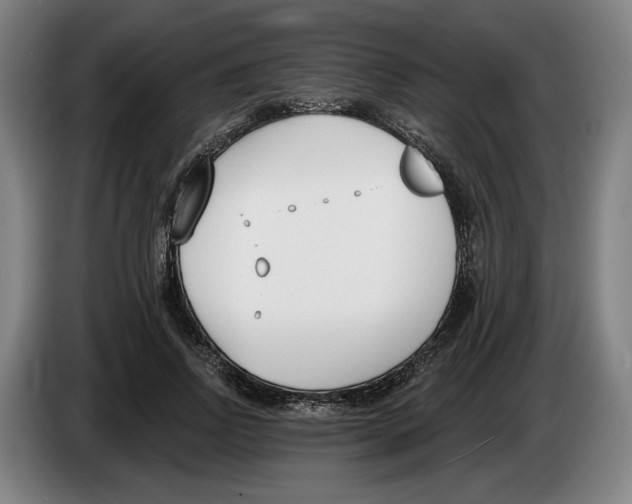 X0000083530742200703091511