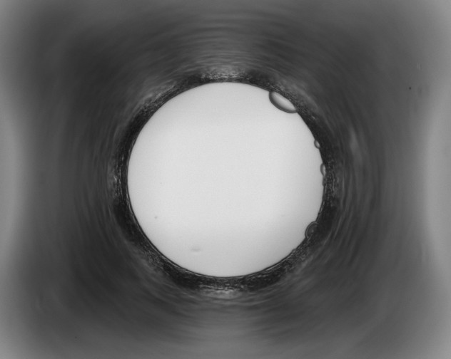 X0000083530743200703091511