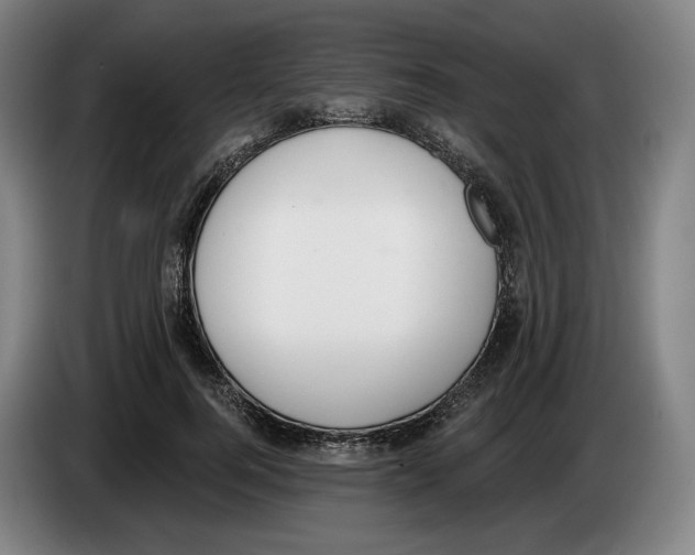 X0000083530744200703091511