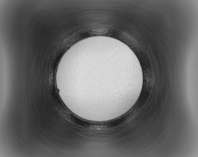 X0000083530745200703091511