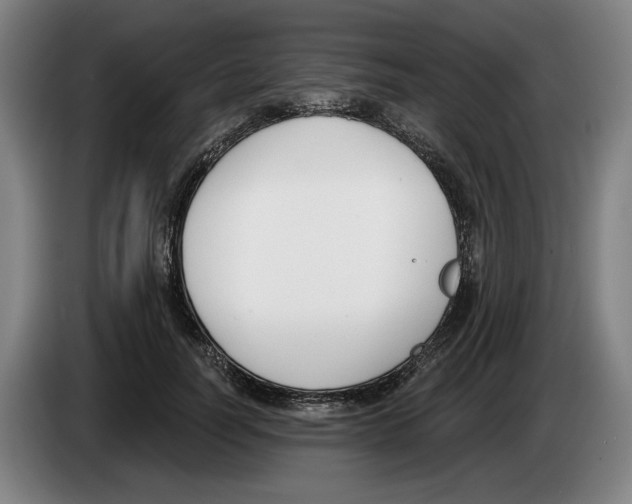 X0000083530746200703091511