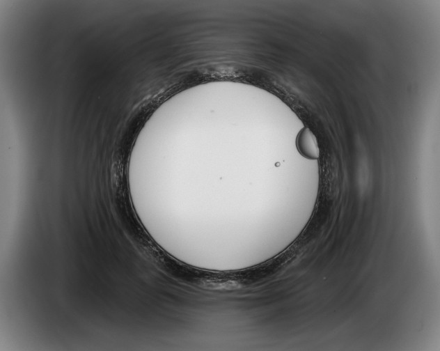 X0000083530747200703091511