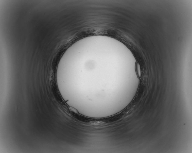 X0000083530748200703091511