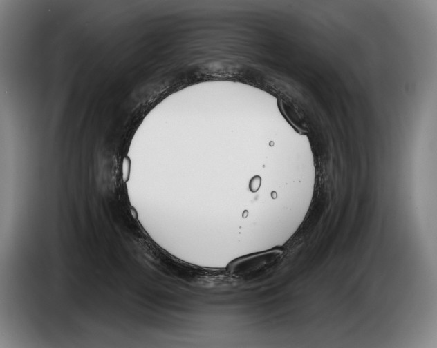 X0000083530752200703091511