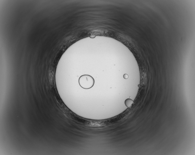 X0000083530753200703091511