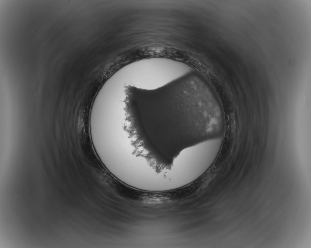 X0000083530754200703091512