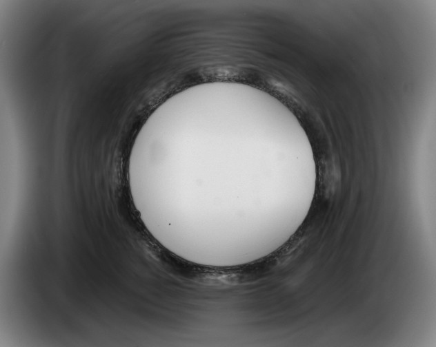 X0000083530760200703091512