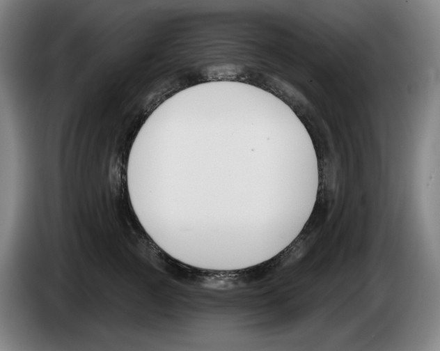 X0000083530761200703091512