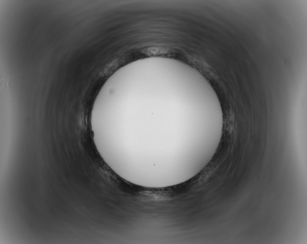 X0000083530763200703091512