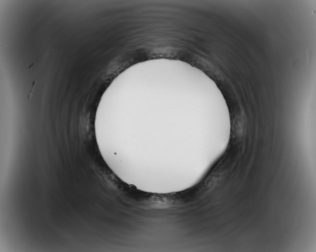 X0000083530764200703091512