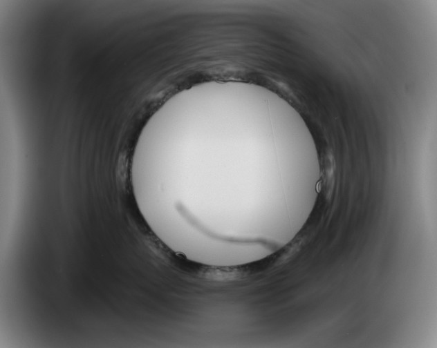 X0000083530767200703091512