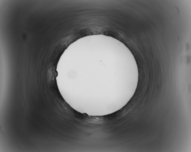 X0000083530768200703091512