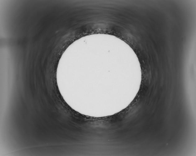 X0000083530769200703091511