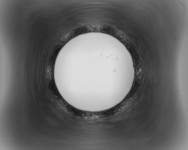 X0000083530772200703091511