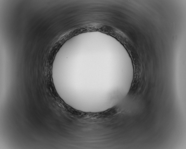 X0000083530773200703091511