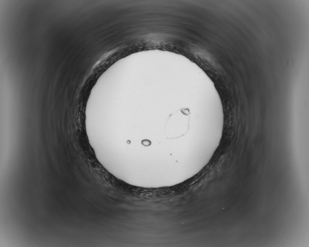 X0000083530776200703091511