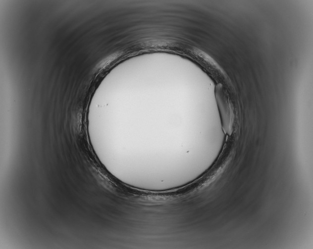 X0000083530777200703091511