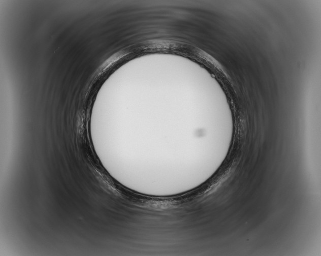 X0000083530778200703091511