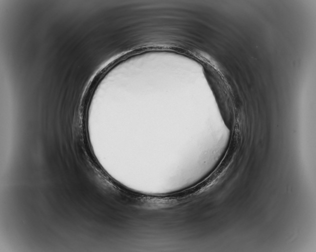 X0000083530779200703091511