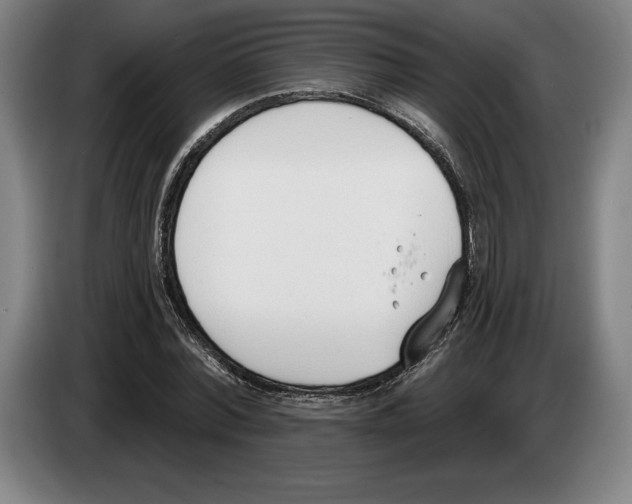 X0000083530780200703091511